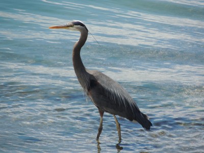DSCN5766.JPG