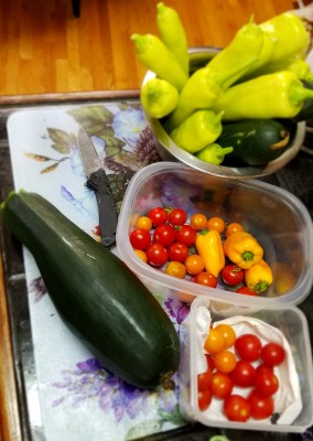 20190707_115526.jpg