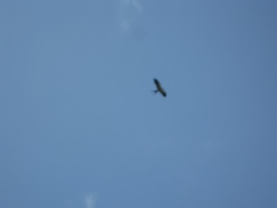 IMG_6411.JPG