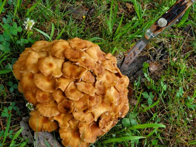 20190712_075953.jpg