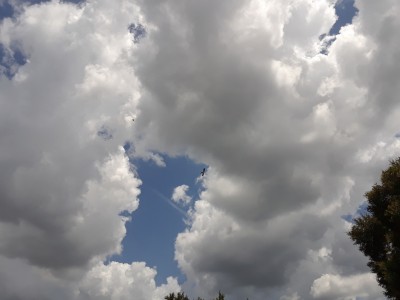 20190716_145407.jpg