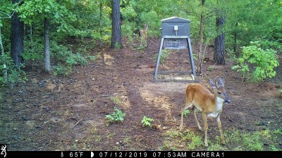 IMG_0007 (2).JPG