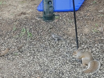 20190721_091541.jpg