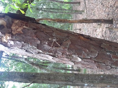 20190723_153155.jpg