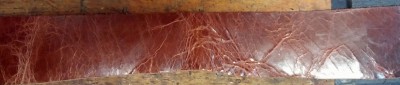 Water Buffalo hide.jpg