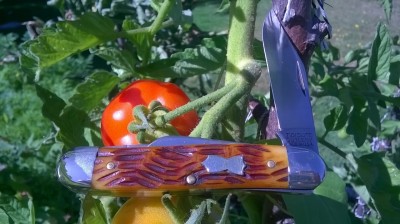 thumbnail_WP_20190813_10_52_32_Pro.jpg