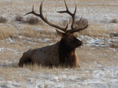 DSCN1756.JPG