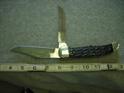 KabarDogsHead2.jpg