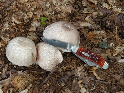 20190816_102118.jpg