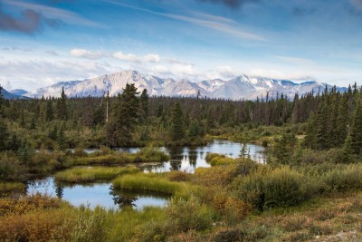 West of Haines Junction in the Yukon