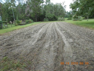 How the patch looked after disking and replanting.