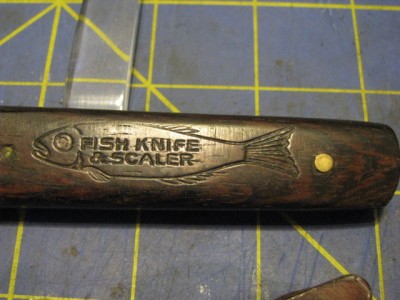 FishScalers 003.jpg
