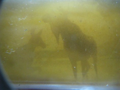 AerialCokeBottle2019 001.jpg