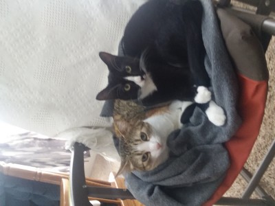 20190217_093810.jpg