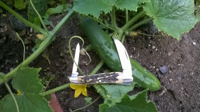 WP_20190722_030.jpg