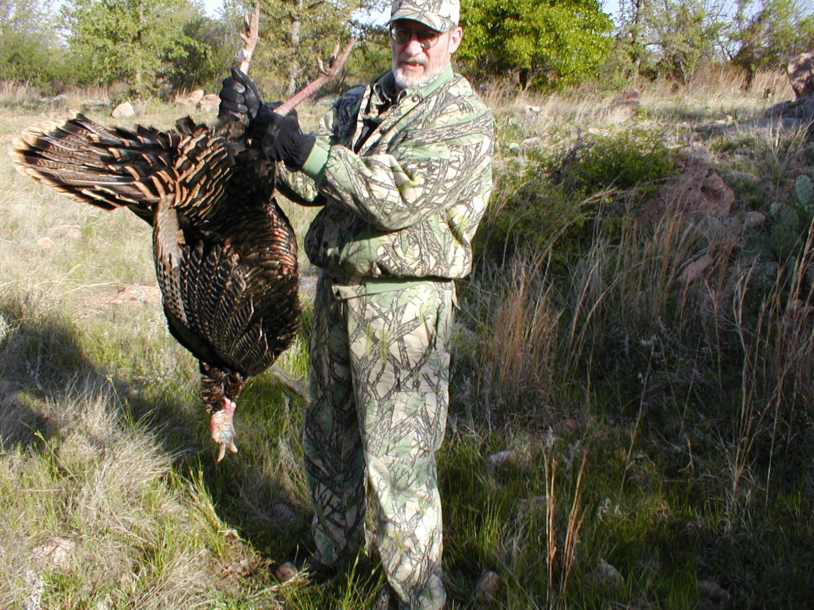 a nice one for thanksgiving