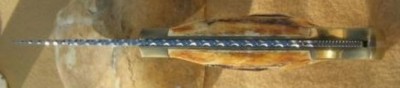 02 sambar LB7.JPG