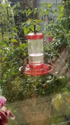 20190907_094113.jpg