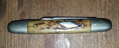 20190910_013746.jpg