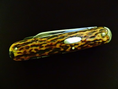 DSCN9487.JPG