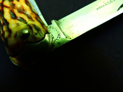 DSCN9529.JPG