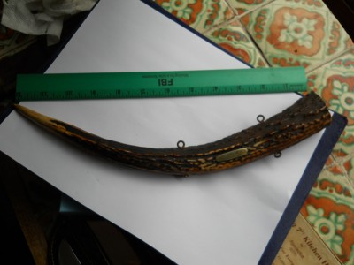 DSCN3175.JPG