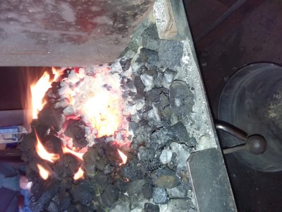 20190621_091737.jpg