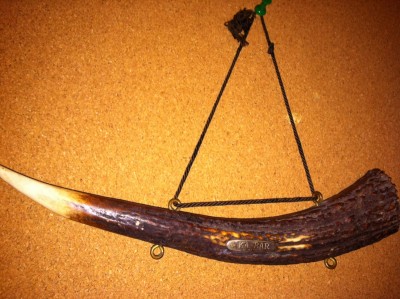photo.JPG