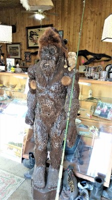 Our new guide.