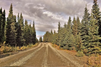 Main neighborhood road, this is one of the better ones.