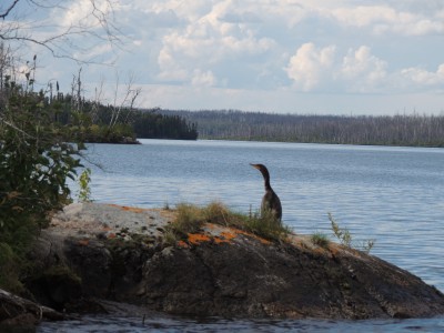 DSCN8319.JPG