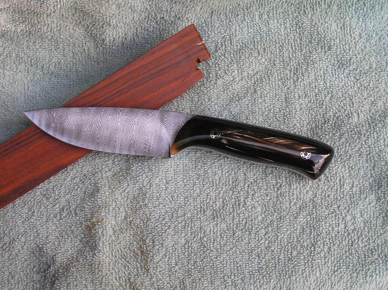 Honey Colored Steer Horn with mosaic pins