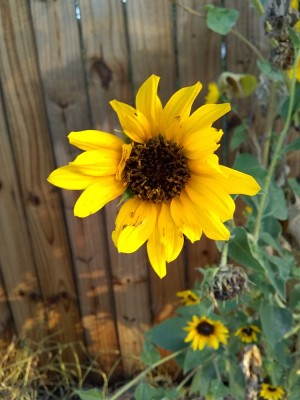 IMG_20190926_075220328.jpg
