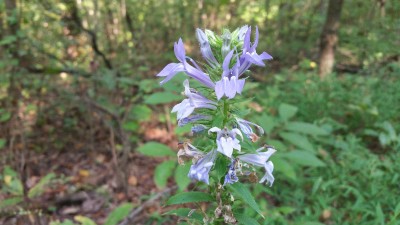 20190927_100252.jpg
