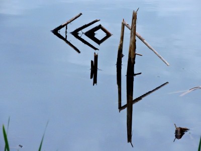 DSCN0006.JPG