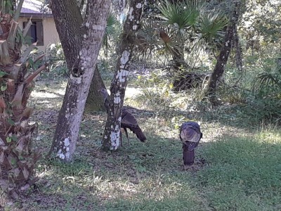 20190925_160235.jpg