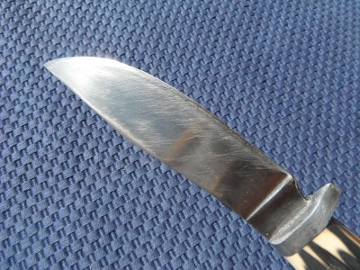 DSCF8503.JPG