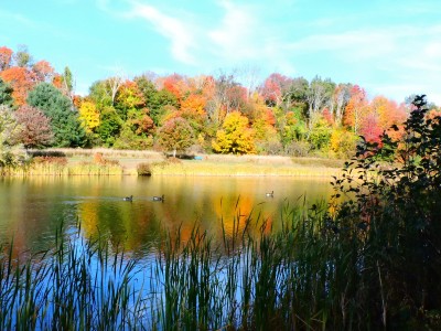DSCN0130.JPG