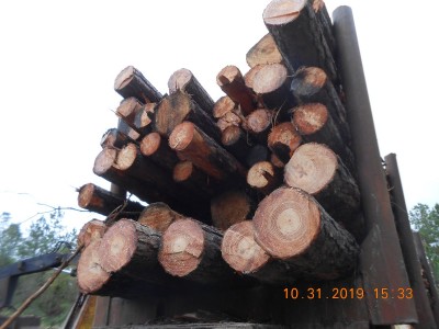 These logs represent 35 years of timber management and a large percentage was destroyed in about 5 hours last October by Hurricane Michael.