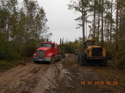 Equipment all over the woods waiting for tomorrow.