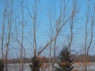 DSCN2066.JPG