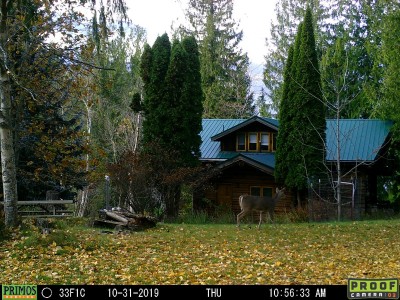 10310342.JPG