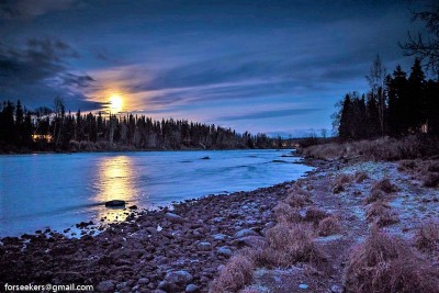 "Frosty Moonrise"