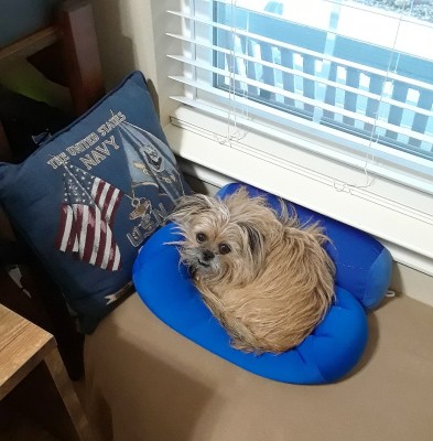 20180926_190128.jpg