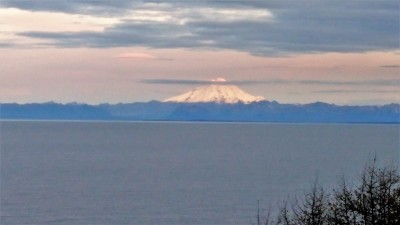 IMG_20190916_104725.jpg