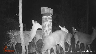 Looks like the whole family is enjoying supper together, except for ol' Hartford