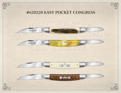 GEC #62 Easy Pocket Congress