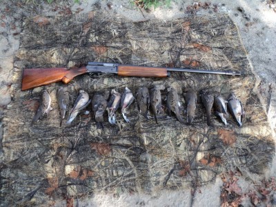 Dove hunt at OSHC - almost a limit.jpg