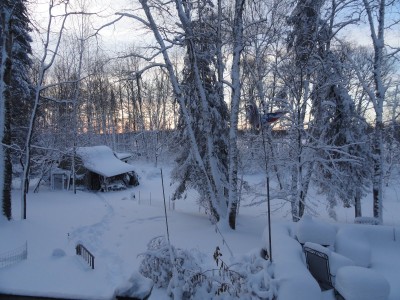 more snow 2019 006.JPG