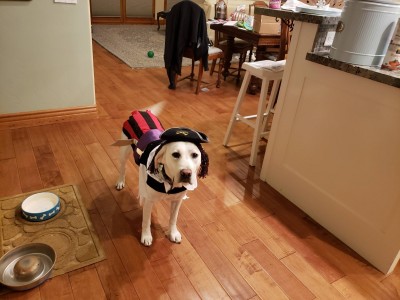 20191030_202446.jpg
